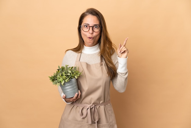 Jardinero de mediana edad mujer sosteniendo una planta aislada en beige con la intención de darse cuenta de la solución mientras levanta un dedo hacia arriba