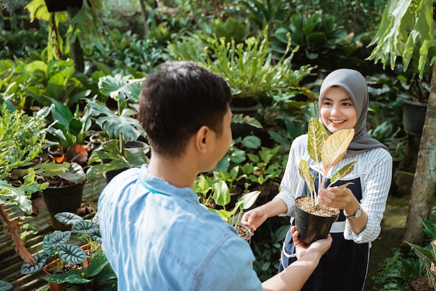 Jardinero mujer asesorando al cliente