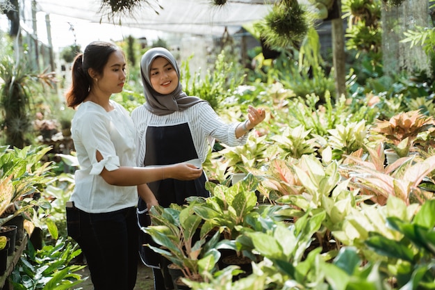 Jardinero mujer y cliente durante la compra de plantas