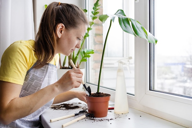 Jardinero de mujer cuidando de plantas de interior