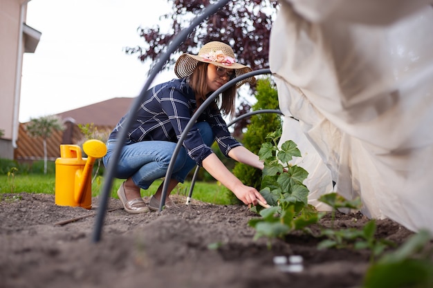 Jardinero de mujer con sombrero trabajando en el jardín en el patio trasero