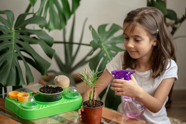 Jardinero de niña divertida con plantas en la habitación en casa, regando y cuidando plantas de interior, trasplanta flores.