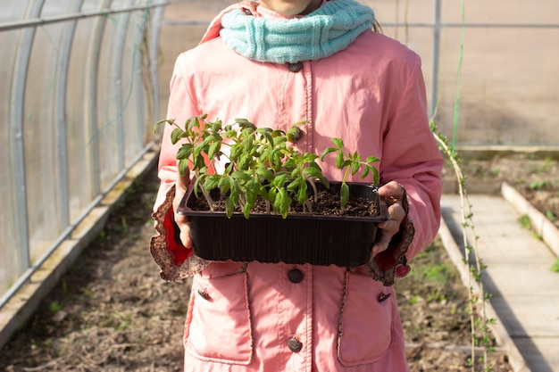 Jardinero de niña sosteniendo una maceta con plantas en sus manos.