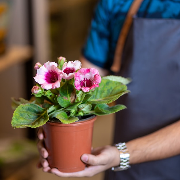 Jardinero con planta de flor