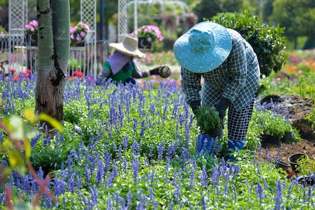 Jardinero Plantando flores en el jardín