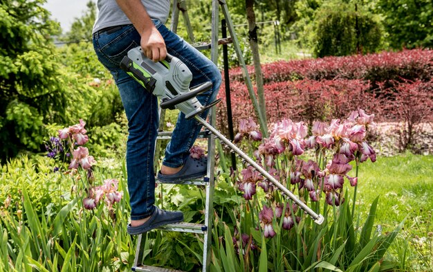 Un jardinero podando árboles con cortasetos