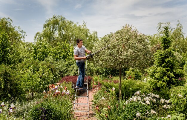 Un jardinero podando árboles con cortasetos