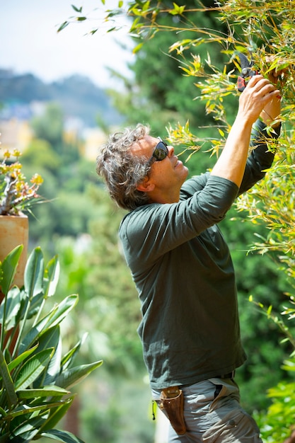 Jardinero podando plantas en un día soleado