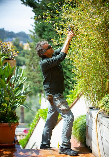 Jardinero podando plantas en un día soleado