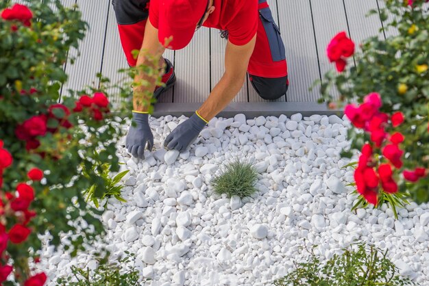 Un jardinero profesional completa el diseño del paisaje con guijarros blancos