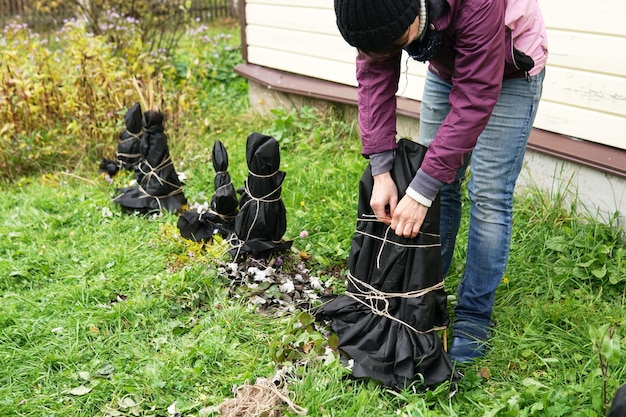 El jardinero protege las plantas con un paño especial para protegerlas de la nieve y las heladas en invierno