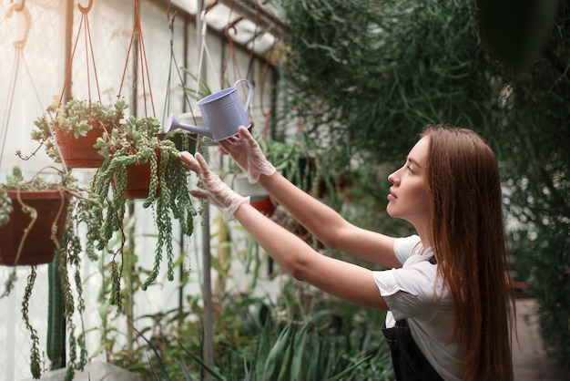 Jardinero regar las plantas de una regadera