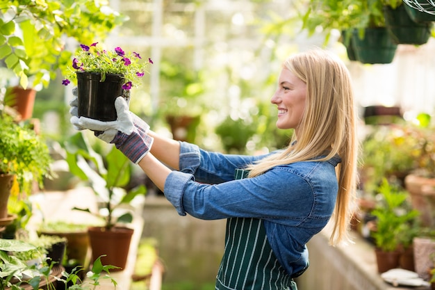 Jardinero de sexo femenino que sostiene la planta floreciente en maceta