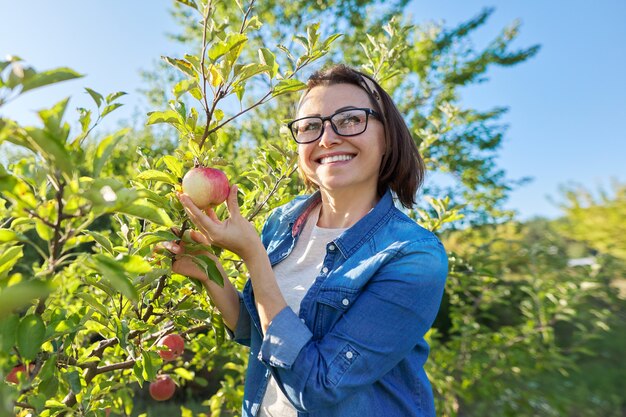 Jardinero de sexo femenino sonriente cerca del manzano con manzanas rojas maduras, sostiene la manzana en la mano. Pasatiempos y ocio, jardín en casa que cultiva alimentos orgánicos naturales y saludables, concepto de jardinería