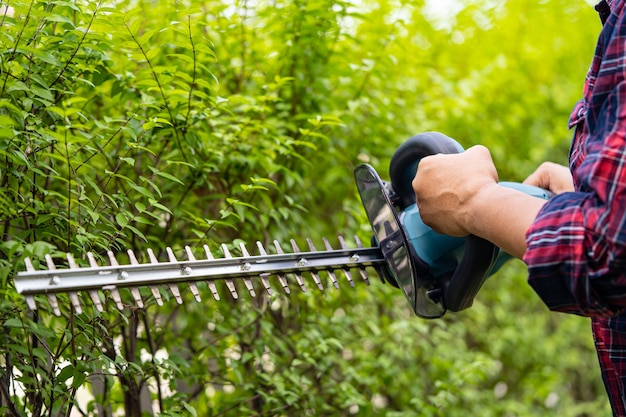 Jardinero sosteniendo un cortasetos eléctrico para cortar la copa de los árboles en el jardín.