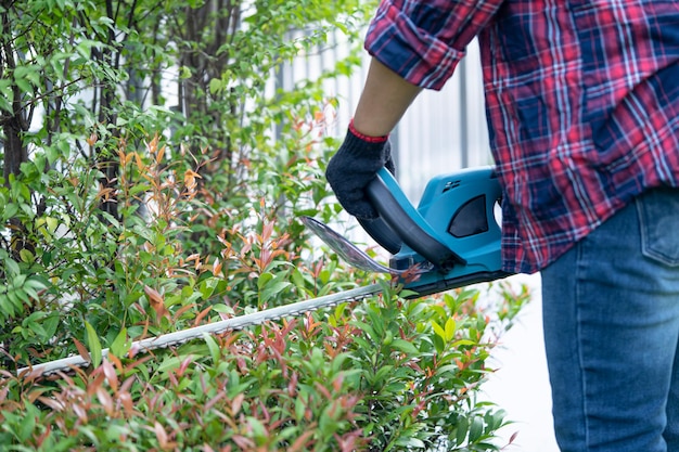 Jardinero sosteniendo un cortasetos eléctrico para cortar la copa de los árboles en el jardín.