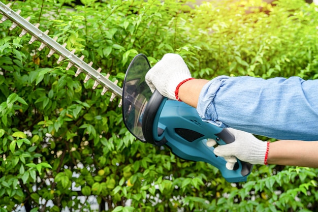 Jardinero sosteniendo cortasetos eléctrico para cortar la copa de los árboles en el jardín