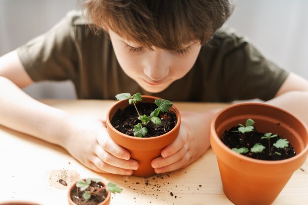 Jardineros de niños planta en maceta
