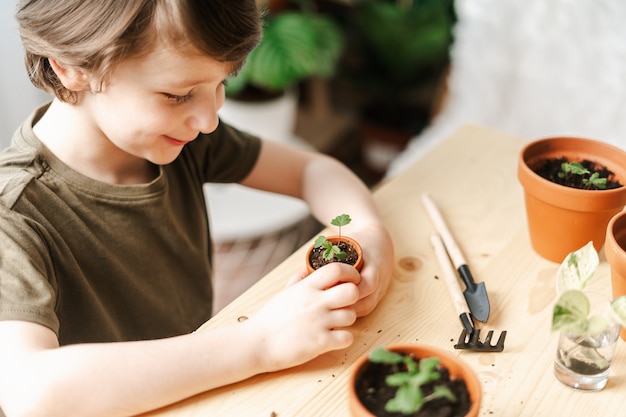 Jardineros de niños planta en maceta