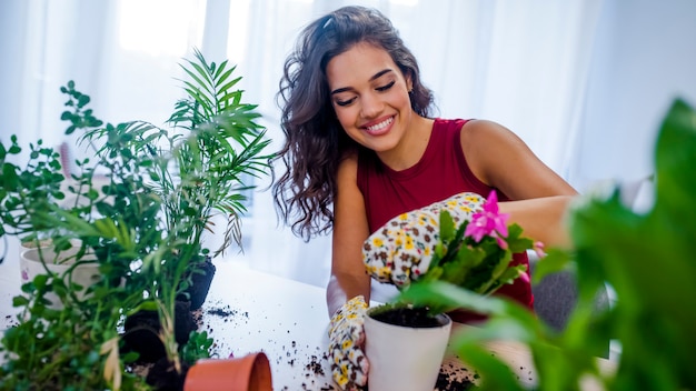 Los jardineros plantan flores en macetas con tierra o tierra.