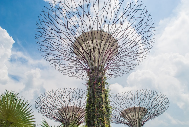 Jardines de la bahía Supertree