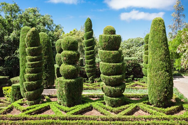 Jardines Botánicos de Madeira