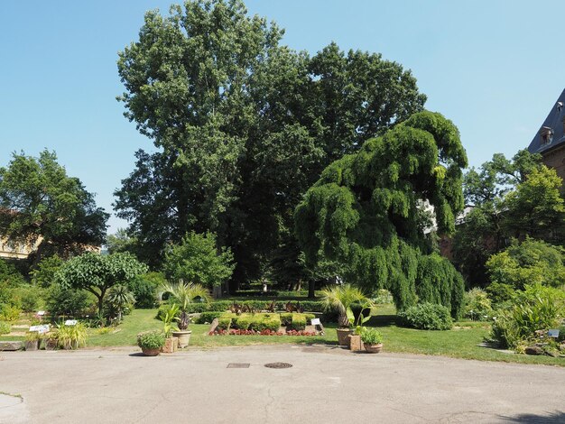 Jardines Botánicos en Turín