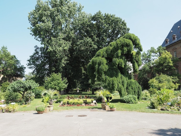 Jardines Botánicos en Turín