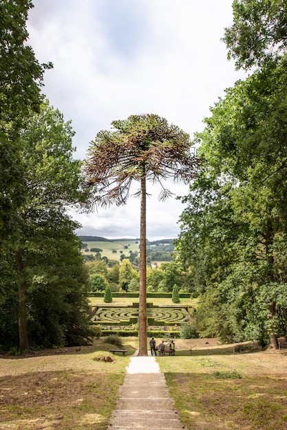 Foto jardines de la casa de chatsworth