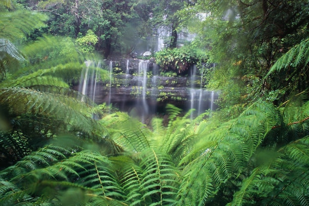 Los jardines de las cascadas de la paz