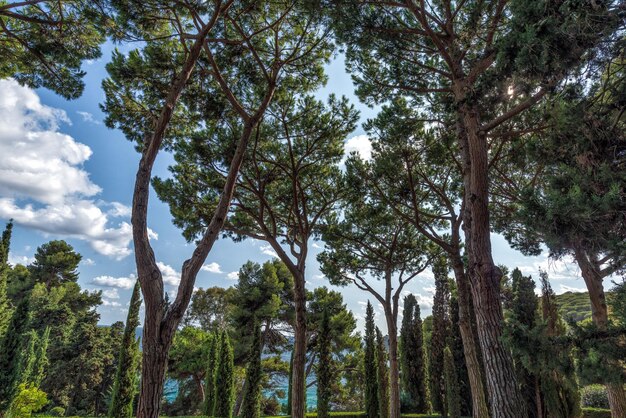 Jardines de santa clotilde em lloret de mar, costa brava, catalunha, espanha