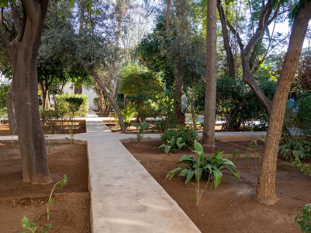 Jardines dentro del Palacio de la Bahía en Marrakech Marruecos