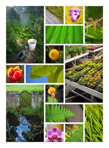 Jardines y flores