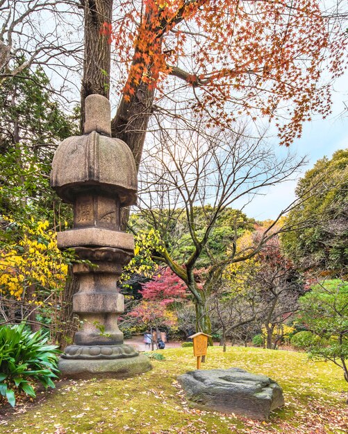 Foto jardines japoneses nuresagigata linterna de piedra con vistas a las hojas de arce rojo momiji en otoño