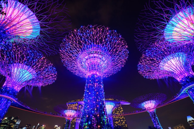 Jardines junto a la bahía con luz en la noche, Singapur