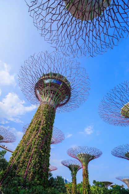 Jardines junto a la bahía de Singapur