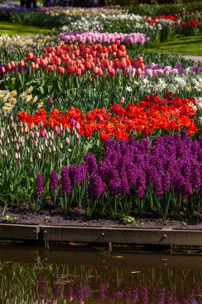 Los jardines de Keukenhof en primavera