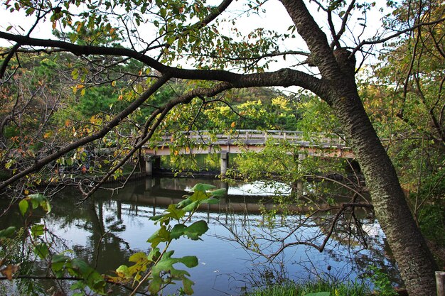 Jardines Sankeien en Yokohama Japón