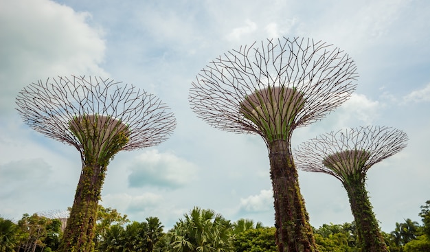 Jardines de Singapur junto a la bahía