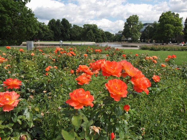 Jardines en Stuttgart Alemania