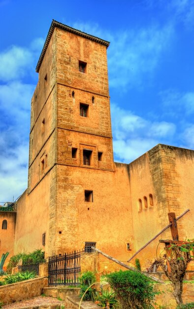 Foto jardins andaluzes em udayas kasbah um patrimônio mundial da unesco em rabat, marrocos