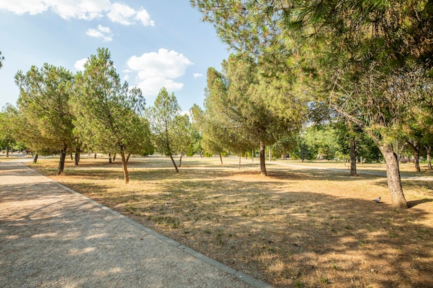 Jardins arborizados em parque urbano com passeios de cimento e areia