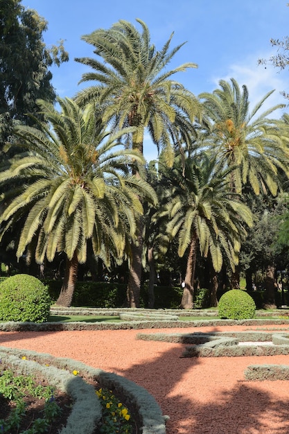 Jardins Bahai em Haifa