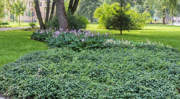 Jardins Bernardine Park no centro de Vilnius