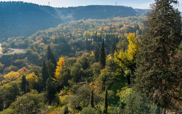 Foto jardins botânicos de tbilisi vista de pássaro