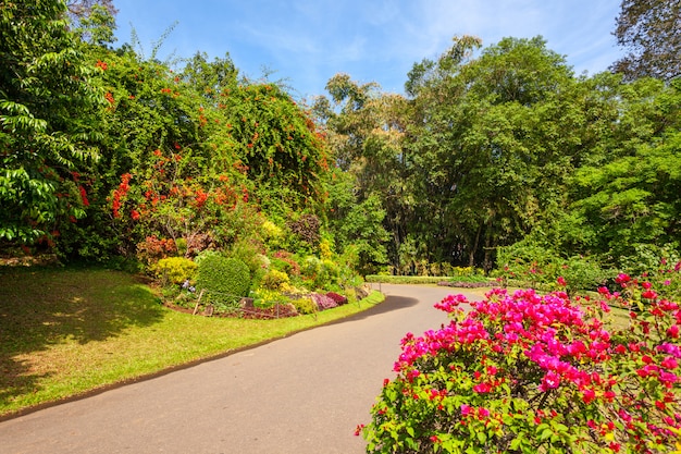 Jardins Botânicos Reais de Peradeniya