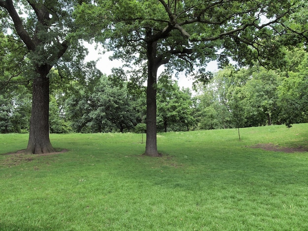 Jardins de Kensington em Londres