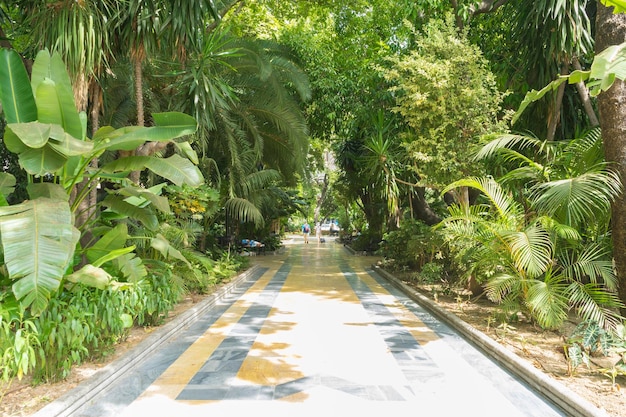 jardins de verão exuberantes em Marbella, Andaluzia Espanha