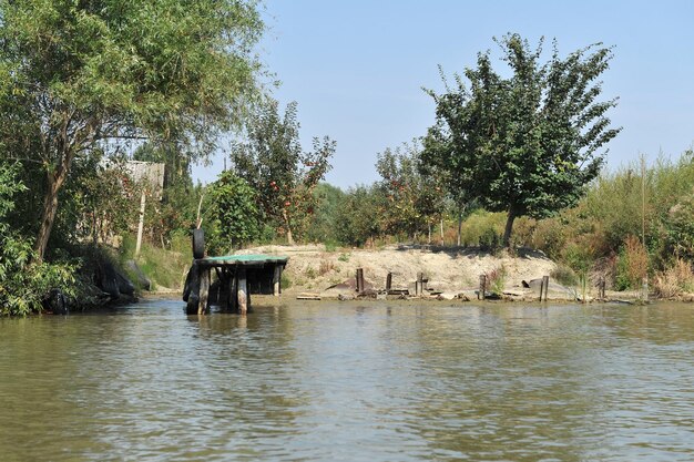 Jardins em massa no delta do danúbio. canais ao longo das ruas. vilkovo, ucrânia