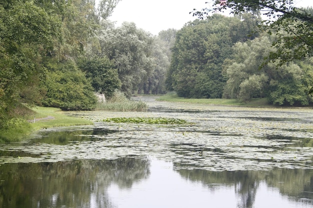 Jardins em Wilanow Varsóvia Polônia